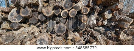 Recycled Twig, Fuel, Tree Branches, A Pile Of Wood Logs, Firewood