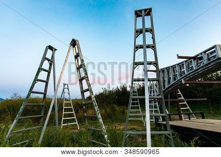 Many Tripod Fruit Picking Ladders. Gardening Tools And Equipment Ready To Use In The Cherry Orchard,