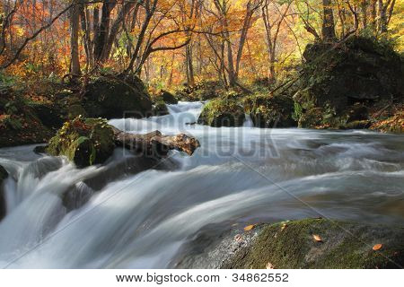 Autumn Colors Of Oirase River