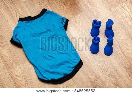 Blue Shoes And Closhes For Dog On Wooden Background