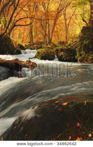 Autumn Colors Of Oirase River