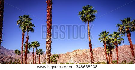 San Jacinto Mountain, Palm Springs, California