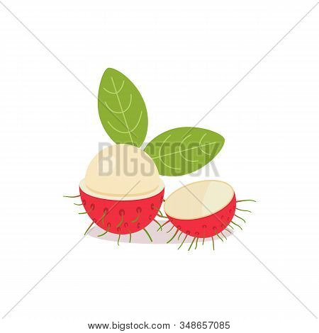 Rambutan With Leaves And Isolated White Background.vector Illustration.rambutan Fruit Split In Half