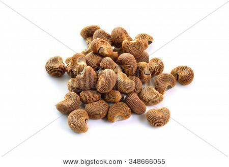 Abelmoschus Moschatus Seed. Abelmosk, Ambrette Annual Hibiscus Bamia Moschata Galu Gasturi Muskdana