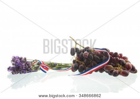 French lavender flowers and wine grapes isolated over white background