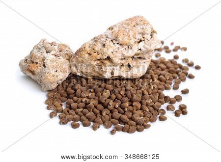 Abelmoschus Moschatus Or Ambrette Seed With Natural Ambergris. Isolated On White Background.