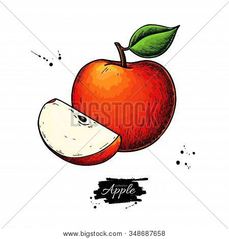 Apple Vector Drawing. Hand Drawn Fruit With Leaf And Slice. Summer Food Illustration.