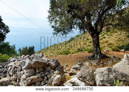 View From The Hiking Trail Near Costa Di Masseta, Cilento, Campania, Italy