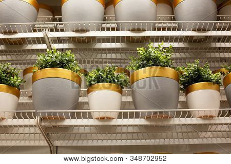 Green Interior. Green Cafe With Hydroponic Plants On The Facade. Ecology And Green Living In City, U