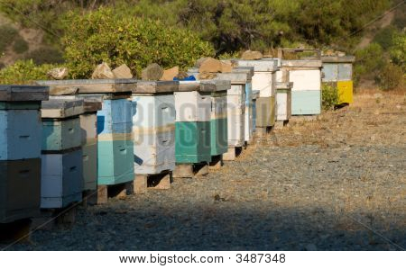Kolorowe ule (Beehouses)