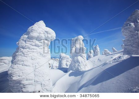 Měkké Rime, Mt.zao v Japonsku