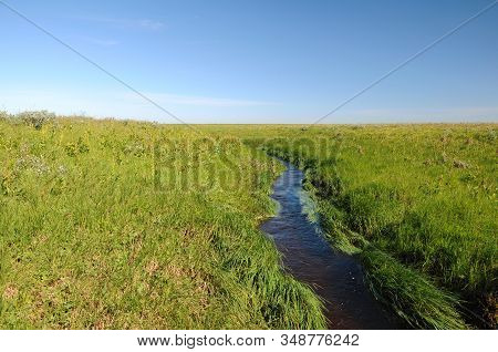 Beautiful Small Stream In The Tundra On A Background Of Green Grass And Blue Sky