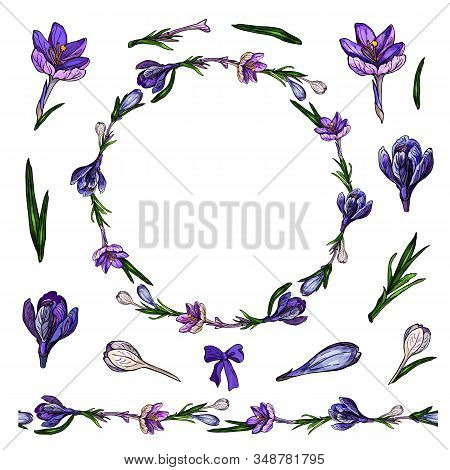 Circle Made From Crocuses For Season Spring Design