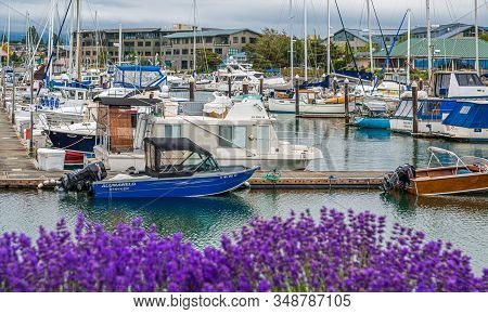 Bellingham, Washington - July 7, 2019: The Port Of Bellingham Operates Two Large Marinas, With Slips