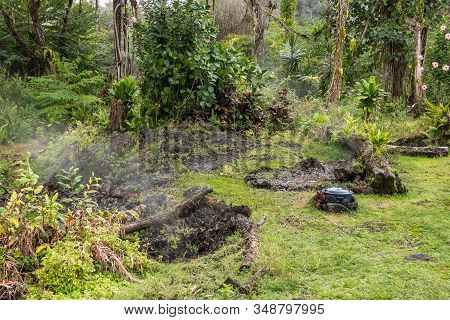 Leilani Estate, Hawaii, Usa. - January 14, 2020: Devastation In Parts Untouched By 2018 Lava. Poison
