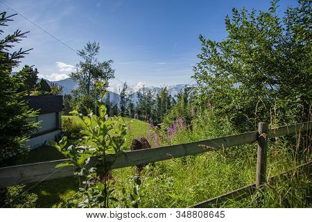 Landscape, Rigi Kaltbad, Switzerland, Tree, View, Green