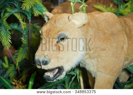 Statue Lion . Life Size Replica Model . The Lion Is In An Artificial Green Forest At Night . Brown L