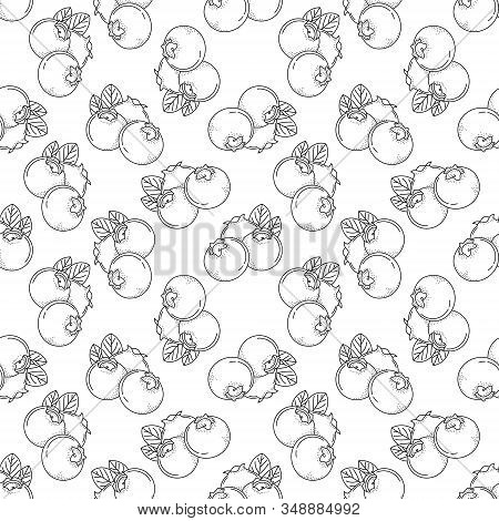 Vector Seamless Pattern With Doodle Blueberry; Hand Drawing Berries For Fabric, Wallpaper, Wrapping 
