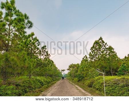 Unacquainted People Trekking To The Top Of The Phu Kradueng Mountain National Park In Loei City Thai