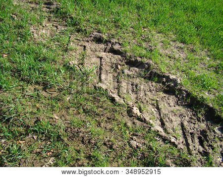 Trace Of Tractor Wheels In The Cropp Field