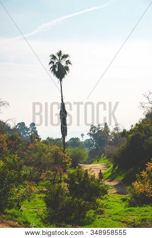 Runyon Canyon Park Hollywood Hill Hike View