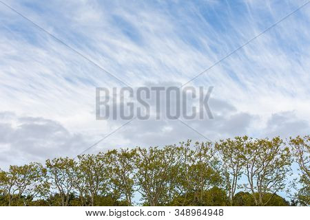 Beautiful Autumn Blue Sky Over The Soviet War Memorial In The Treptower Park, Berlin
