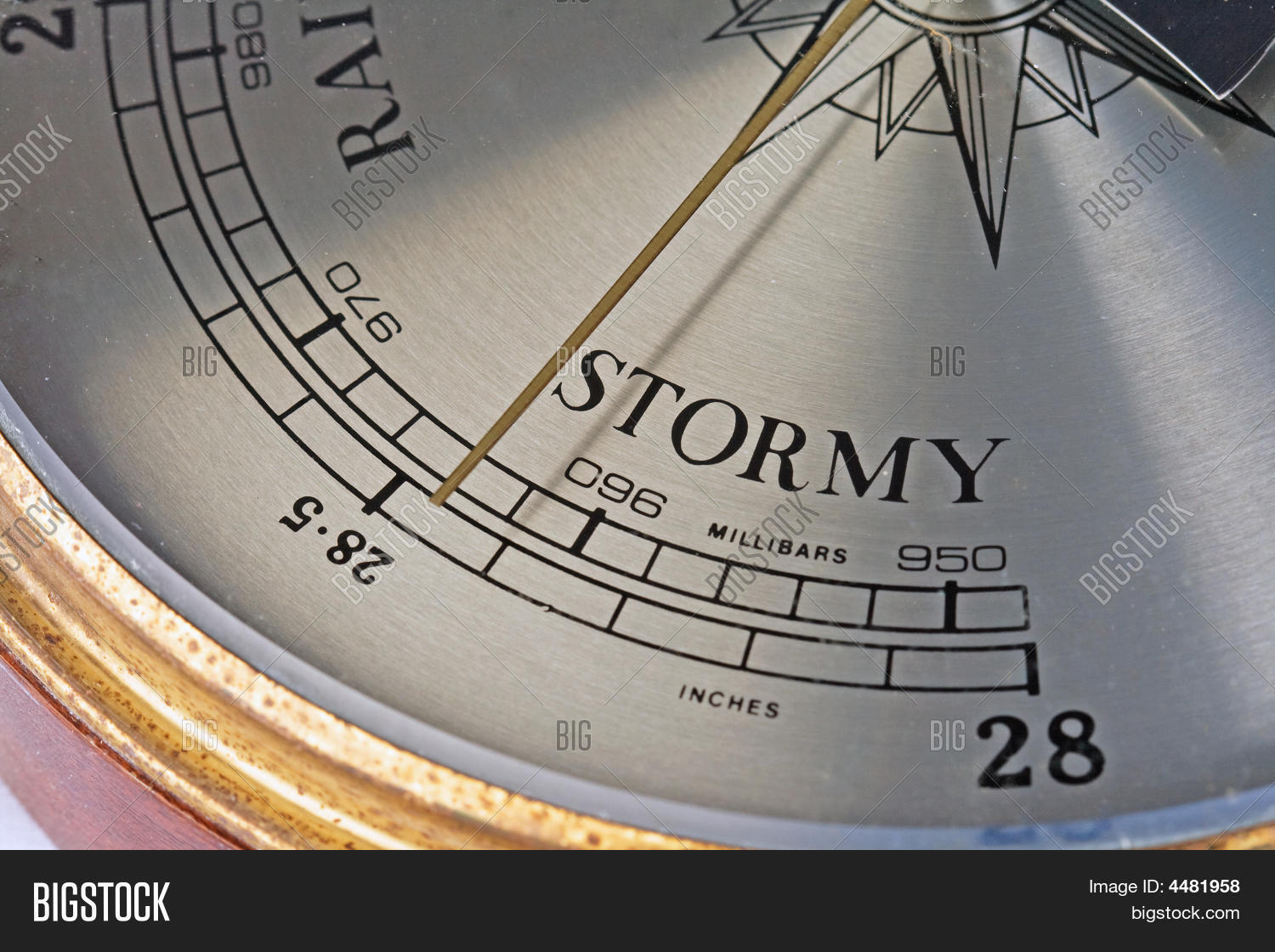 Image Preview