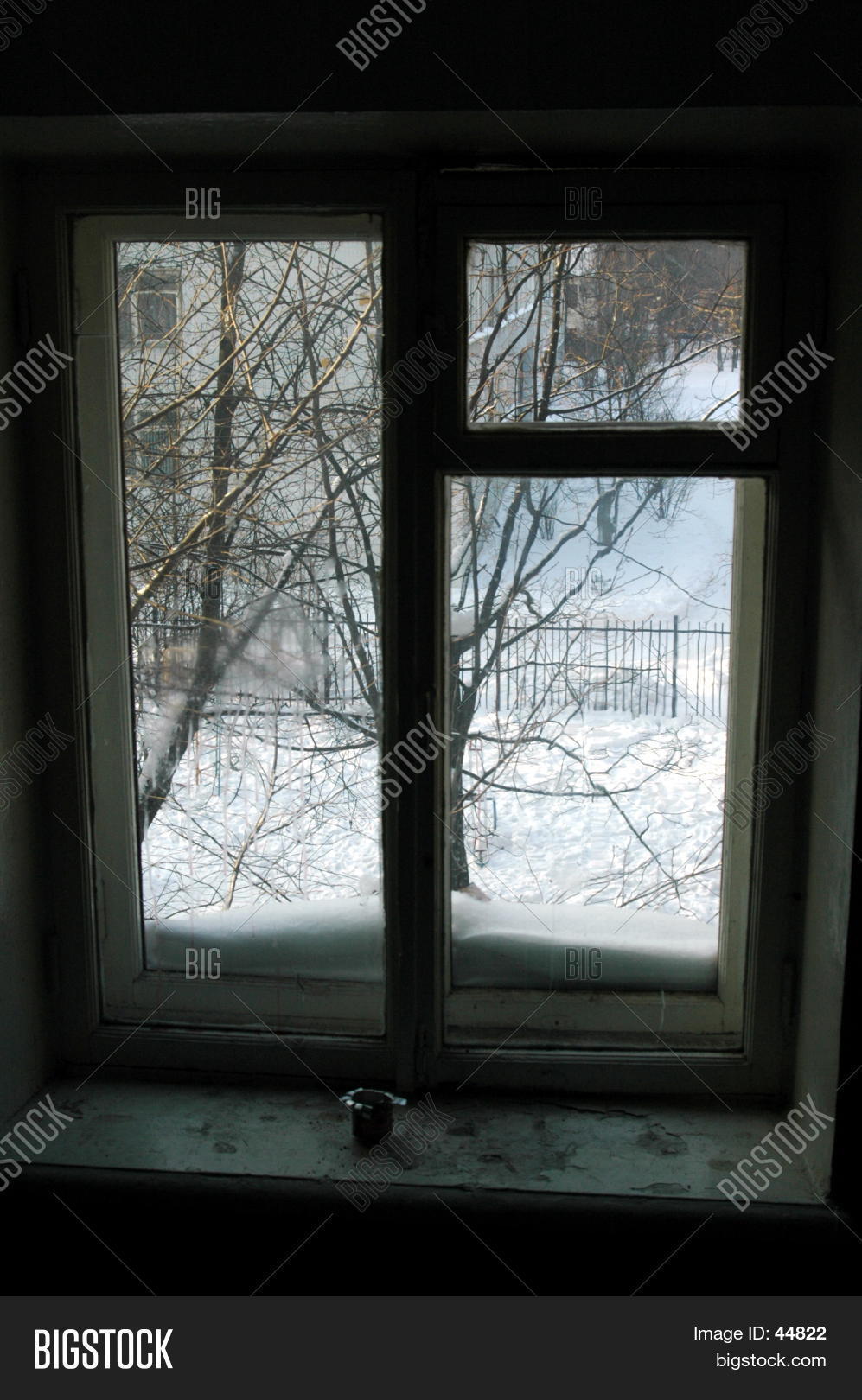Image Preview