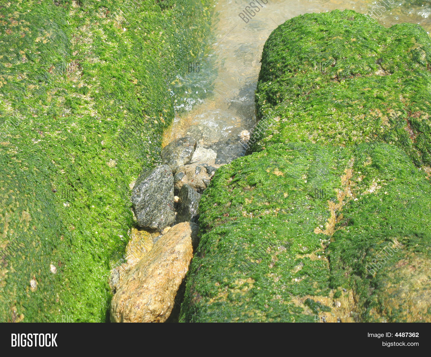 Image Preview