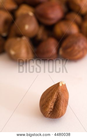 Skořápkové ovoce