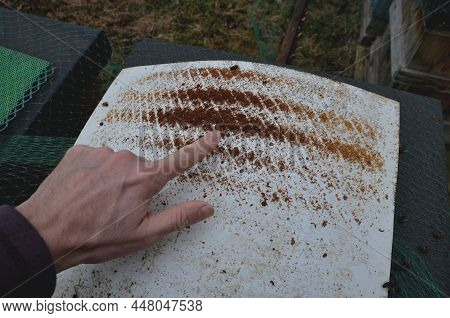 Control Of Mite Pest Fall From Bee Brood. According To Number Of Mites, The Examination By Vet Is De