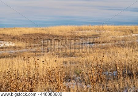 dry grass and thistle, winter sunset scenery at Colorado foothills -  Cathy Fromme Prairie Natural Area