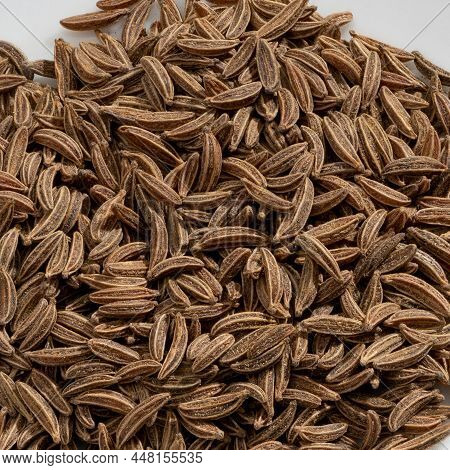 Detailed And Large Close Up Shot Of Caraway Seeds & Spice.