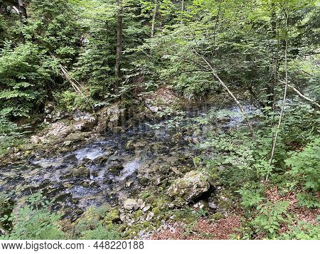 Protected Landscape Of The Small River Kamacnik In Gorski Kotar - Vrbovsko, Croatia (zaštićeni Krajo