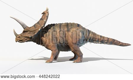 3d rendered illustration of a Pentaceratops