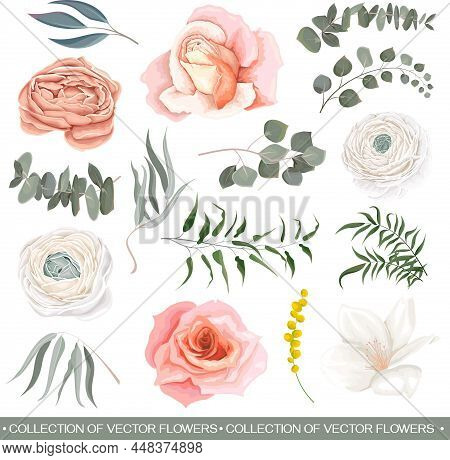 Floral Vector Set. Pink Roses, White Ranunculus, White Magnolia, Eucalyptus, Green Plants And Flower