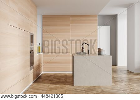 Bright Kitchen Room Interior With Bar Counter With Double Oven, Sink, Towels, Liquid Soap, Cooking D