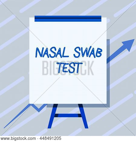 Text Sign Showing Nasal Swab Test. Business Overview Diagnosing An Upper Respiratory Tract Infection