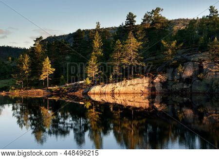 Trees Light Up In The First Rays Of Morning Light