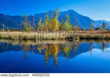 Kendlmuehlfilz Near Grassau, An Upland Moor In Southern Bavaria, Germany In Europe