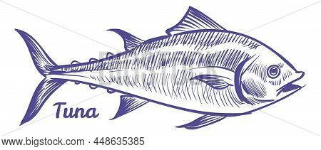 Tuna Fish In Sketch Style. Sea Animal Icon