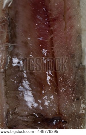 Meat And Bones Of Fresh Herring For A Delicious Dish, Carve Fish