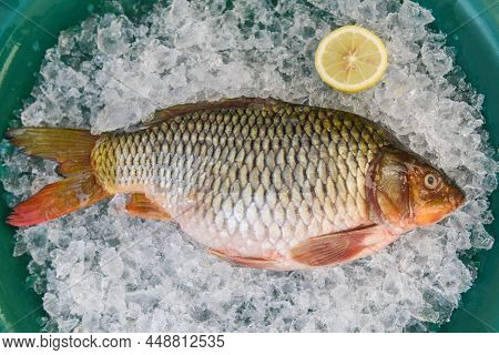 Carp Fish, Fresh Raw Fish On Ice For Cooked Food With Lemon Background, Common Carp Freshwater Fish 
