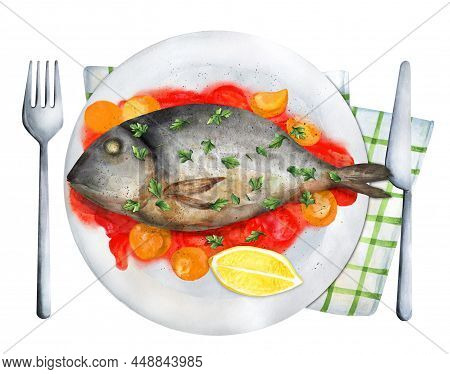 Fish Bream Cooked In Crazy Water - Acqua Pazza. Hand Painted Watercolor Hand Drawn Illustration. Sui
