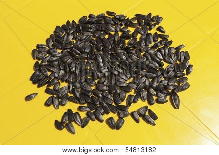 Sunflower seeds on yellow table