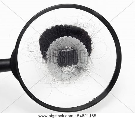 Hair Loss