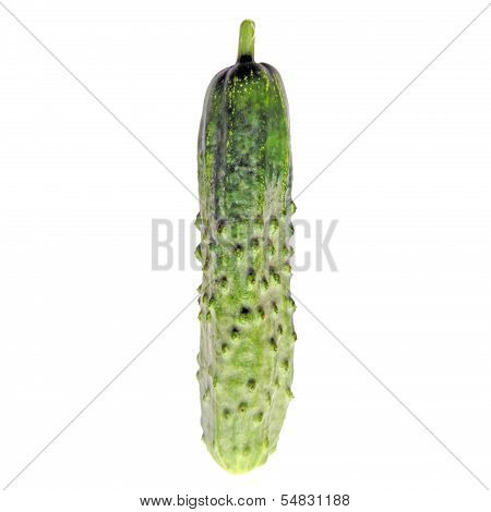 Cucumber Isolated