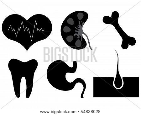 Medical Icons. Vector Set