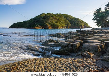 Leigh North Island New Zeland