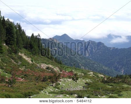 山景